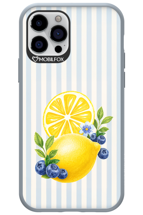 Fresh Flash 2.0 - Apple iPhone 12 Pro