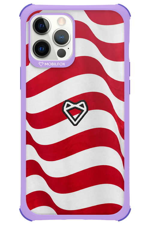 USA 2.0 - Apple iPhone 12 Pro Max