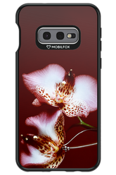 Leobloomy 2.0 - Samsung Galaxy S10e