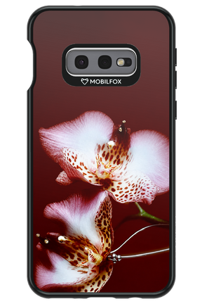 Leobloomy 2.0 - Samsung Galaxy S10e