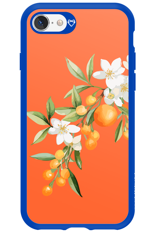 Amalfi Oranges - Apple iPhone SE 2022