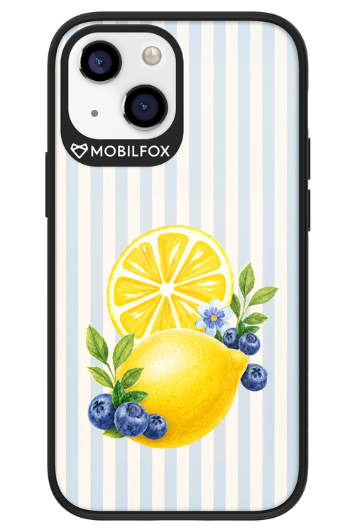 Fresh Flash 2.0 - Apple iPhone 13 Mini