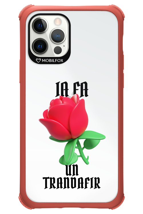 Rose Transparent - Apple iPhone 12 Pro