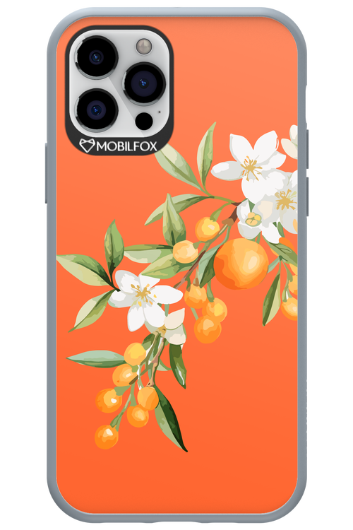 Amalfi Oranges - Apple iPhone 12 Pro