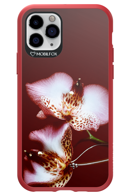 Leobloomy 2.0 - Apple iPhone 11 Pro