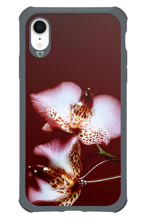 Leobloomy 2.0 - Apple iPhone XR