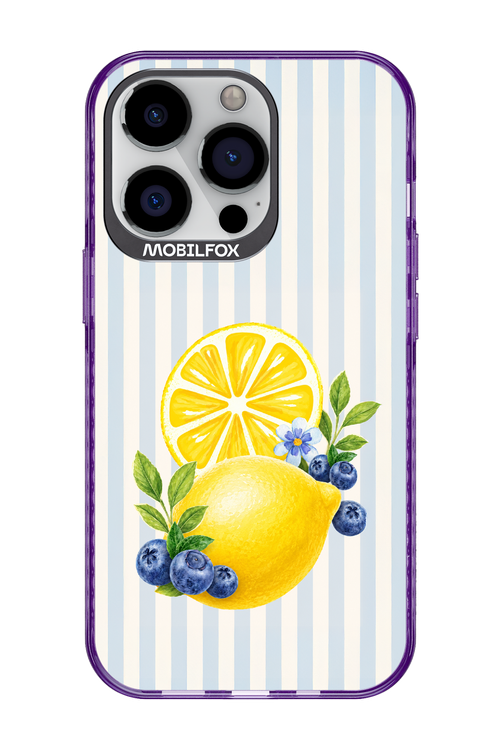 Fresh Flash 2.0 - Apple iPhone 13 Pro