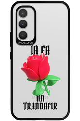 Rose Transparent - Samsung Galaxy A34