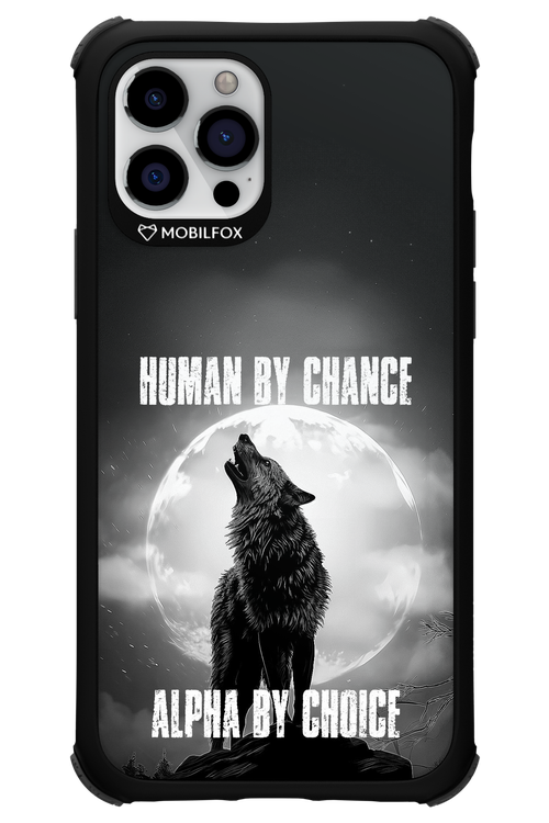 Alpha 2.0 - Apple iPhone 12 Pro