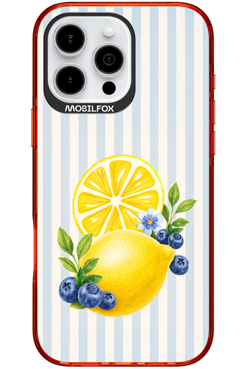Fresh Flash 2.0 - Apple iPhone 16 Pro Max