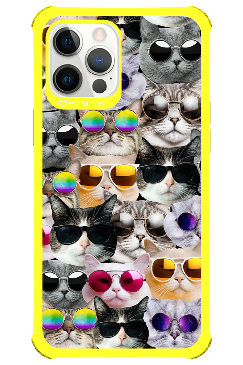 Cat World - Apple iPhone 12 Pro Max