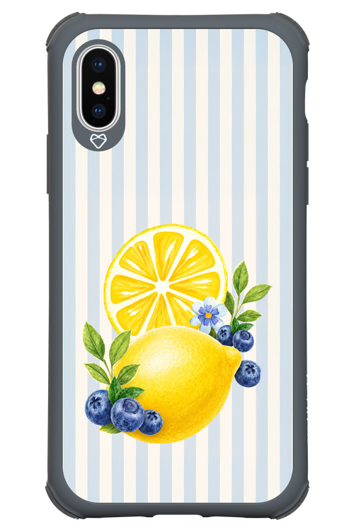 Fresh Flash 2.0 - Apple iPhone X