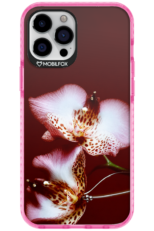 Leobloomy 2.0 - Apple iPhone 12 Pro Max