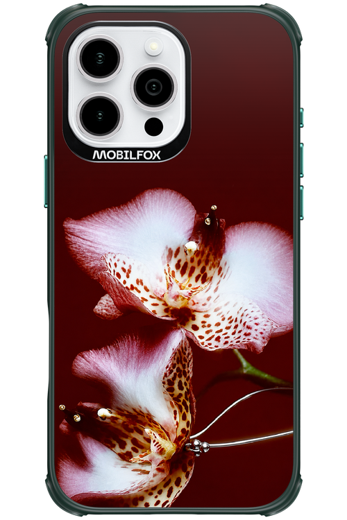 Leobloomy 2.0 - Apple iPhone 16 Pro Max
