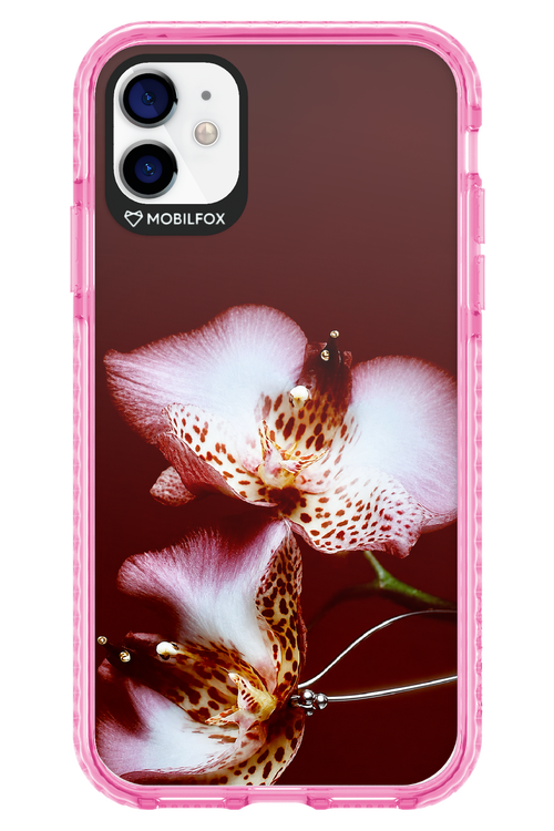 Leobloomy 2.0 - Apple iPhone 11