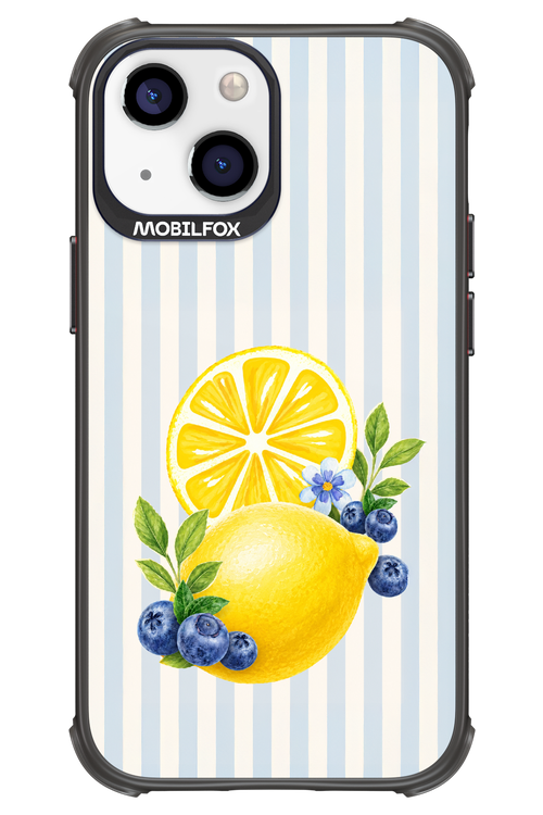 Fresh Flash 2.0 - Apple iPhone 13 Mini