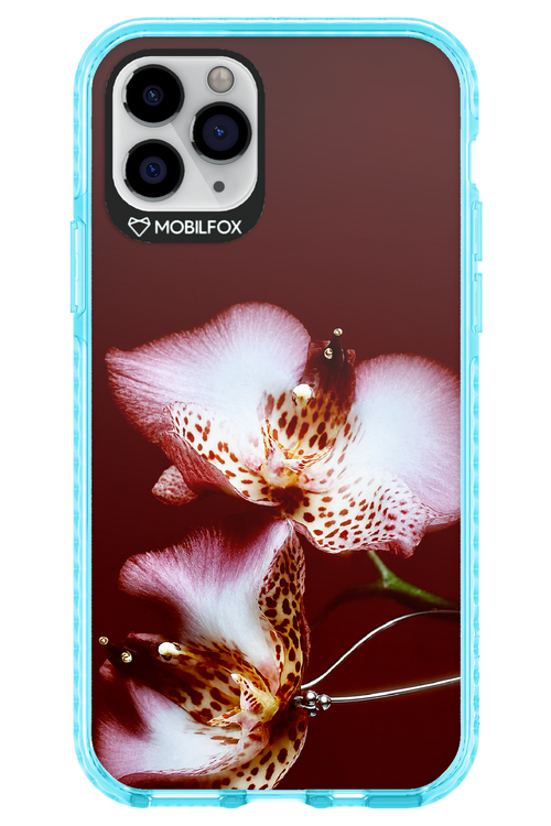 Leobloomy 2.0 - Apple iPhone 11 Pro
