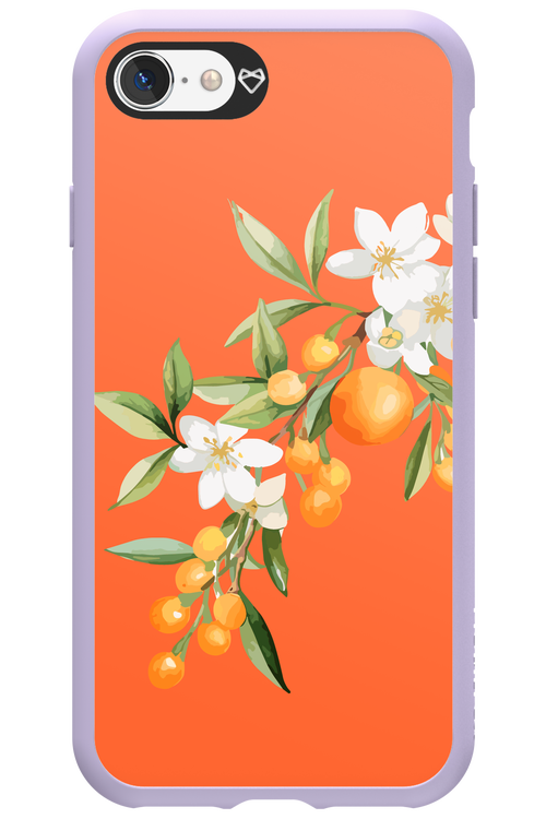 Amalfi Oranges - Apple iPhone SE 2020