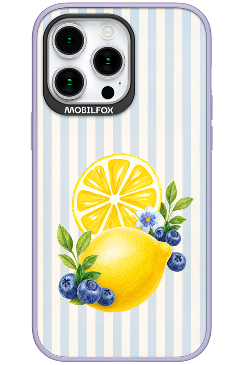 Fresh Flash 2.0 - Apple iPhone 15 Pro Max
