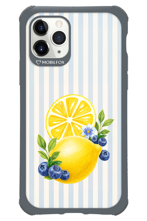 Fresh Flash 2.0 - Apple iPhone 11 Pro