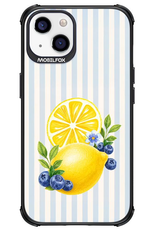 Fresh Flash 2.0 - Apple iPhone 13