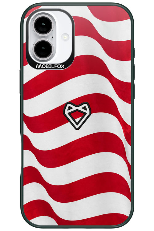 USA 2.0 - Apple iPhone 16 Plus