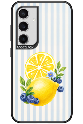 Fresh Flash 2.0 - Samsung Galaxy S24