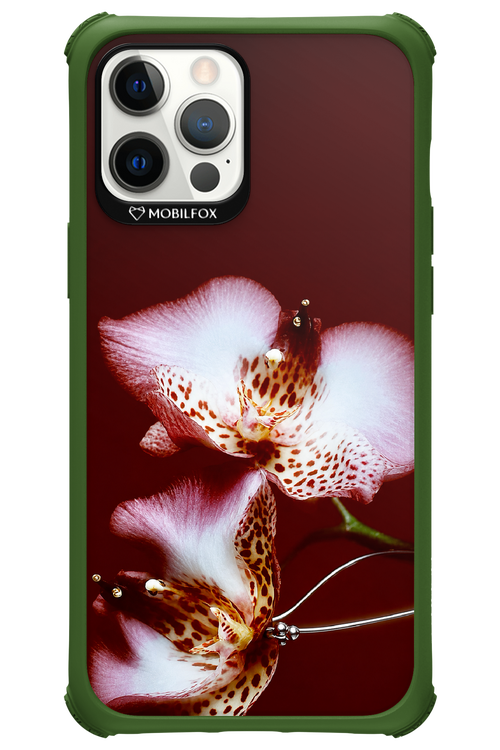 Leobloomy 2.0 - Apple iPhone 12 Pro Max