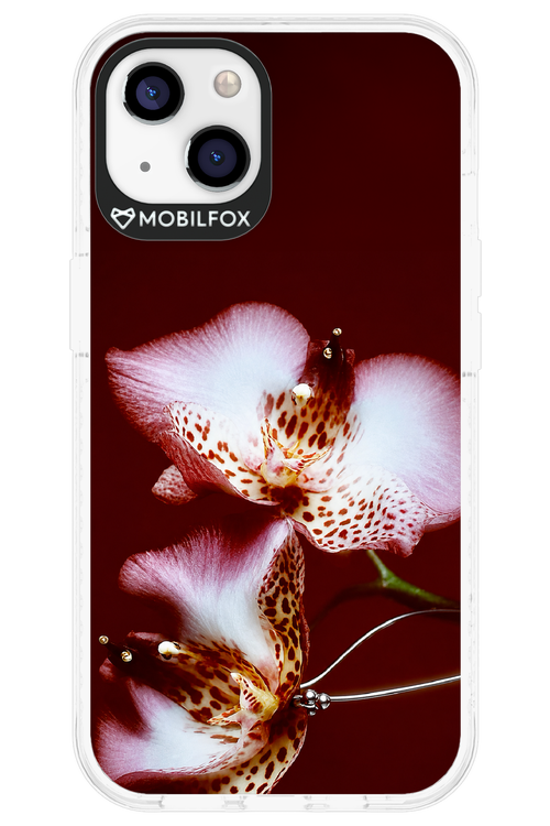 Leobloomy 2.0 - Apple iPhone 13