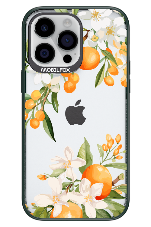Amalfi Orange 2.0 - Apple iPhone 14 Pro Max