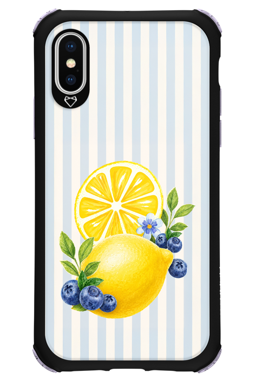 Fresh Flash 2.0 - Apple iPhone XS