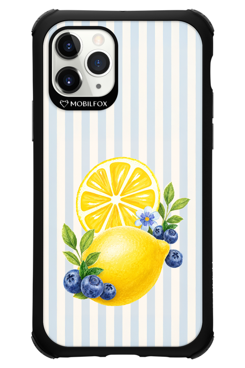 Fresh Flash 2.0 - Apple iPhone 11 Pro