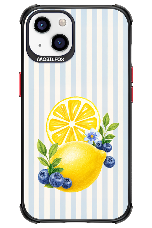 Fresh Flash 2.0 - Apple iPhone 13