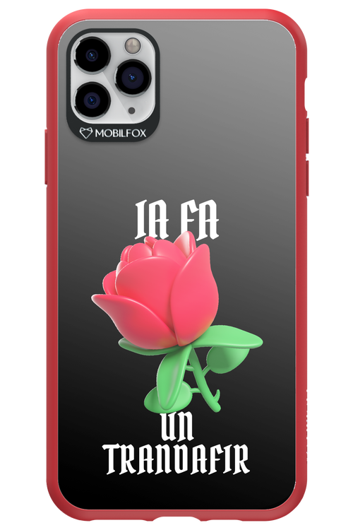 Rose Black - Apple iPhone 11 Pro Max
