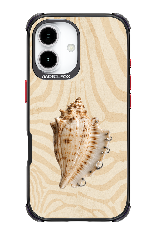 Shell Me Out 2.0 - Apple iPhone 17