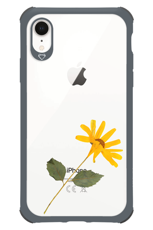 Pressed Flower - Apple iPhone XR