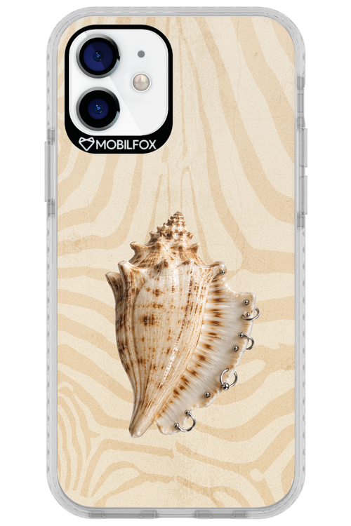 Shell Me Out 2.0 - Apple iPhone 12