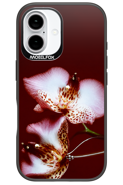 Leobloomy 2.0 - Apple iPhone 16