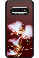 Leobloomy 2.0 - Samsung Galaxy S10+