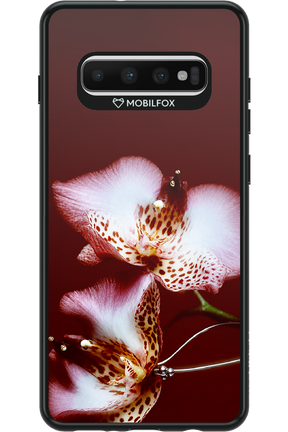 Leobloomy 2.0 - Samsung Galaxy S10+