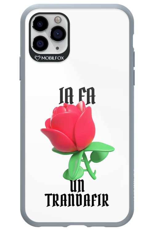 Rose Transparent - Apple iPhone 11 Pro Max