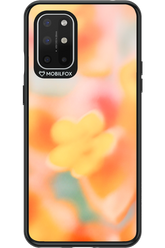 Summer Dream 2.0 - OnePlus 8T