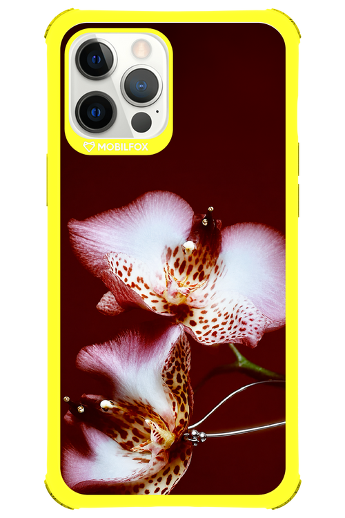 Leobloomy 2.0 - Apple iPhone 12 Pro Max