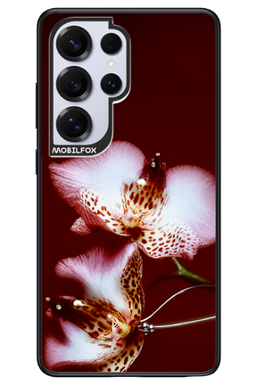 Leobloomy 2.0 - Samsung S25 Ultra