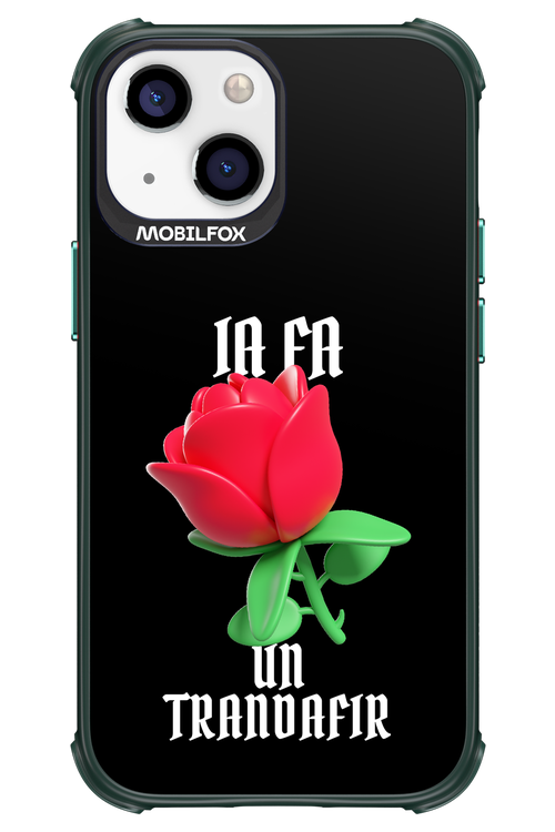 Rose Black - Apple iPhone 13 Mini