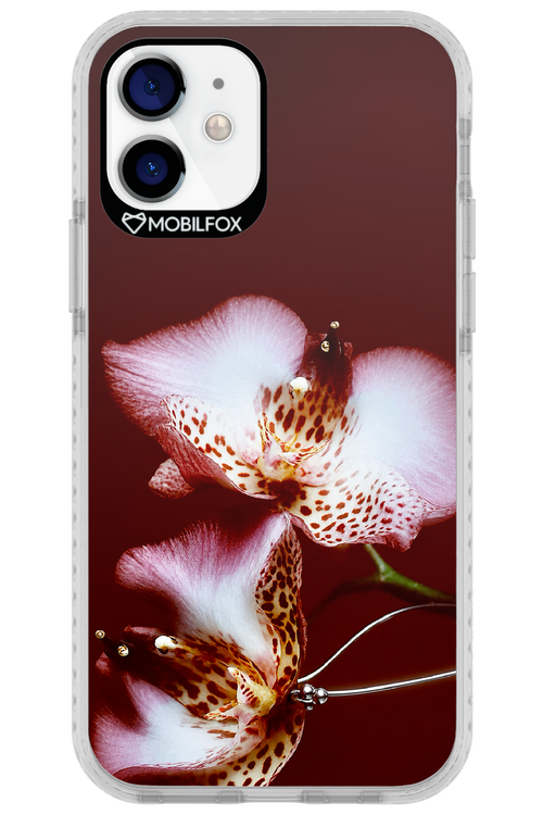 Leobloomy 2.0 - Apple iPhone 12