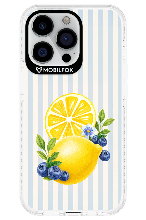 Fresh Flash 2.0 - Apple iPhone 13 Pro