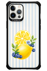Fresh Flash 2.0 - Apple iPhone 12 Pro Max