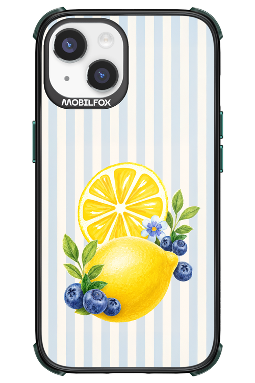 Fresh Flash 2.0 - Apple iPhone 14