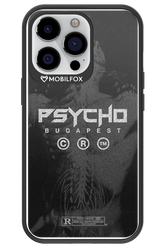 X-Ray - Apple iPhone 13 Pro
